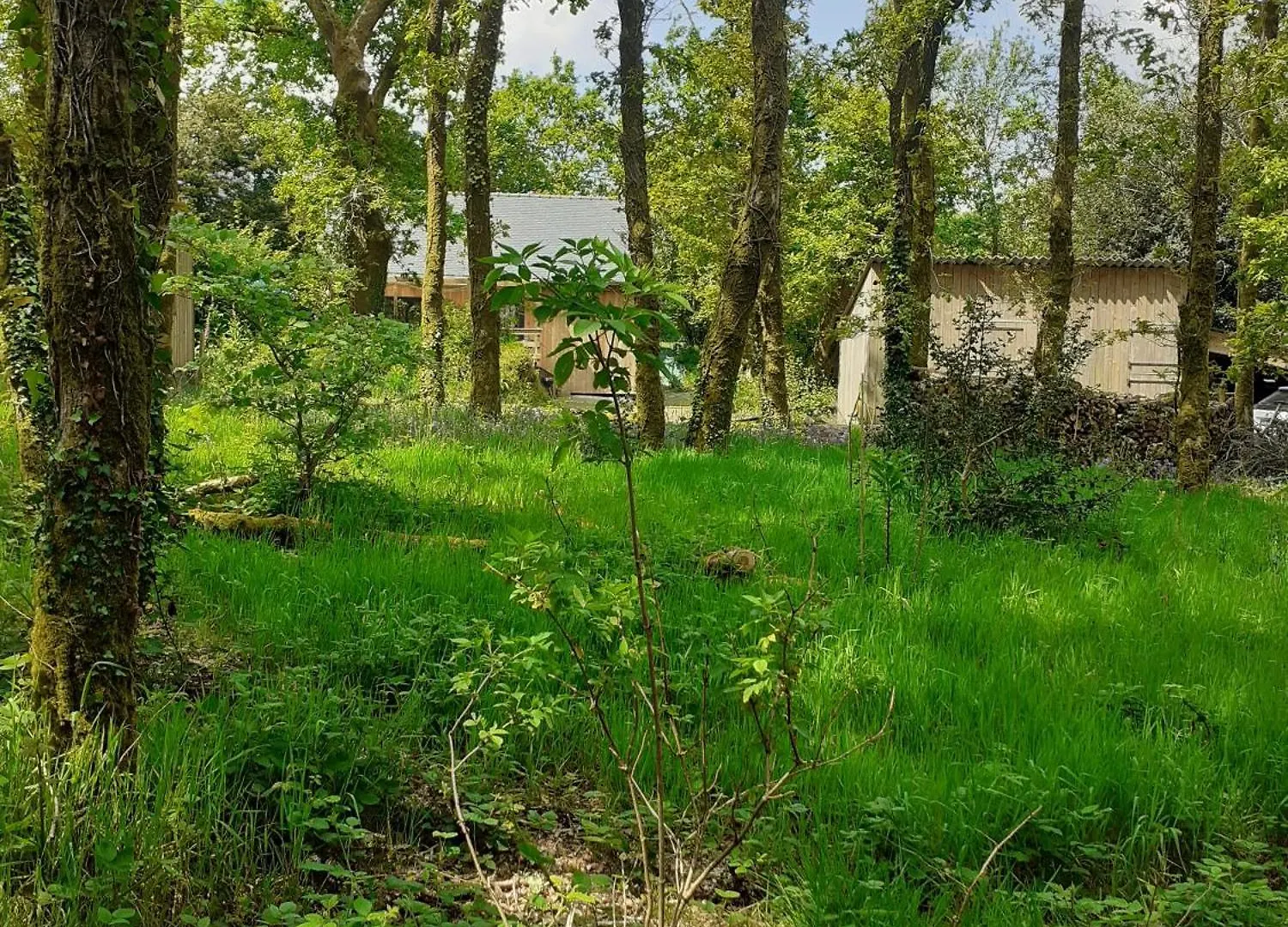 Holiday home Ecolodge Des Monts D'Arree & Spa La Feuillee